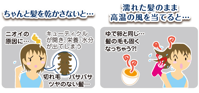 ちゃんと髪を乾かさないとニオイの原因に…。キューティクルが開いて栄養や水分が出てしまい、切れ毛やパサパサな艶のない髪に。濡れた髪のまま高温の風を当てると、ゆで卵と同じく髪の毛も固くなっちゃう!?