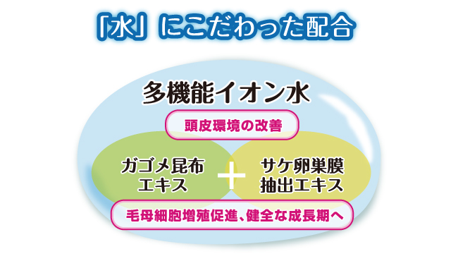 NABIKIこだわりの配合 なびき NABIKI 多機能イオン水 ガゴメ昆布エキス 鮭卵巣膜抽出エキス 毛母細胞増殖促進 頭皮環境の改善 インターナショナルホームメディカル IHM IHM international homemedical