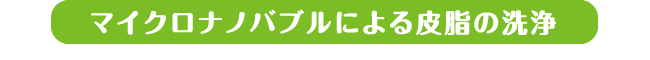 マイクロバブル 洗浄 保湿 温浴 マイクロナノバブル 節水 水圧 おススメ 交換