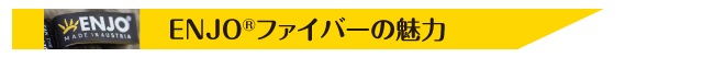 ENJO ENJOファイバーの魅力
