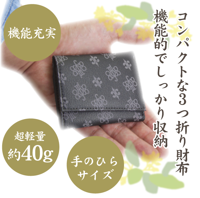 ポレット表側見本